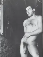 Tony Nero Porn