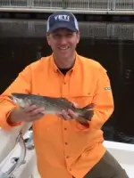 Tim Taylor Porn