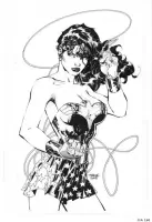 Wonder Woman Jim Lee Art