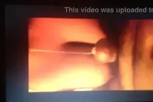 Charlotte Fox Blowjob