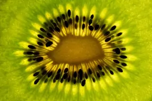 Kiwi Fruit National Day