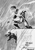 Jim Lee Nightwing Sketch