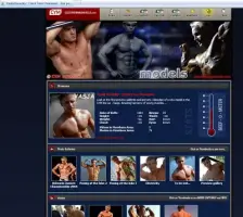 Bel Ami Models