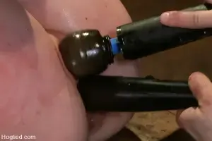 Porn Star
