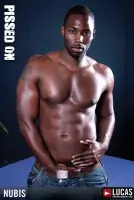 Michael Lucas Gay Porn Nubius