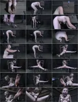 Headless Delirious
