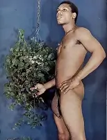 Taurus Black Gay Porn
