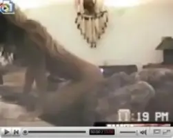 Pamela Anderson Sex Tape