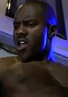 Jasper Wade Porn Star