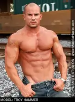 Troy Hammer