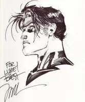 Nightwing Jim Lee Art