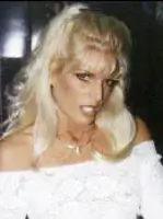 Nikki Steele Porn Star