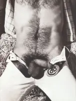 Davis Gay Vintage Porn Stars