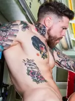 Dean Van Damme Pornstar