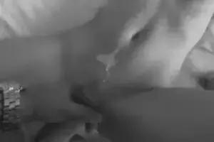Seth MacFarlane Porn