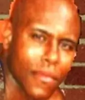 DJ Yella Porn Star