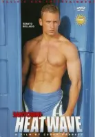 Renato Bellagio Gay