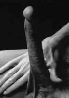 Lana Luster Vince Harrington