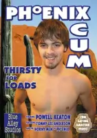 Phoenix Arizona Gay Porn