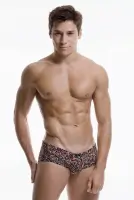 UnderGear Renato Ferreira