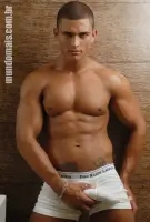 Diego Lauzen Gay Porn Star