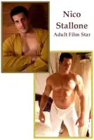 All Nico Stallone Porn Movies