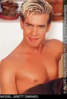 Brett Dimineo Gay Porn Star