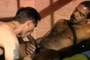Andre Bolla Gay Porn