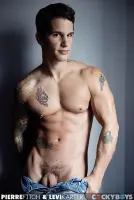 Pierre Fitch Gay Porn