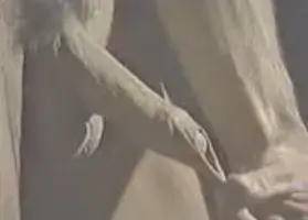 Max Montoya Gay Porn