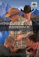 Bareback Gay Brokeback Mountain