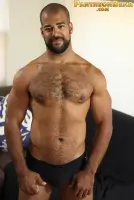 Pantheon Bear Roman Wright Gay