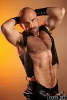 Marco De Brute Gay