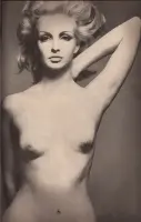 Richard Avedon Nudes