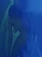 Angela Bassett Nude