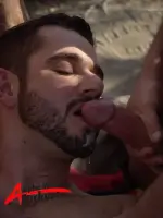 Alpha Male Porn Stars