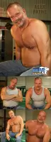 Alex Payne Gay Bear
