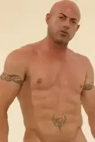 Dillon Press Gay