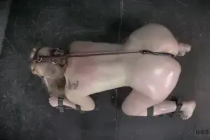Delirious Bondage