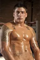 Hugo Milano Gay Porn Star