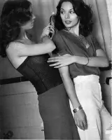 Retro Bonnie Holiday Porn